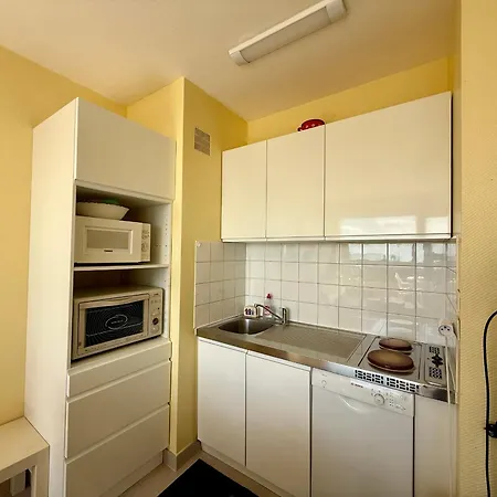 Apartment Vue Mer, Animaux Admis - Fr-1-652-68 *